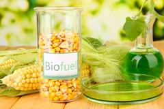 Bacton biofuel availability